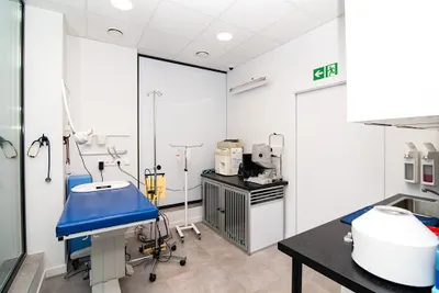 Centrum Okulistyki Weterynaryjnej EyeVet